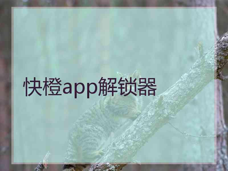 快橙app解锁器