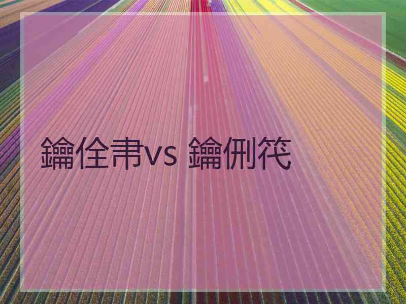 鑰佺帇vs 鑰侀笩