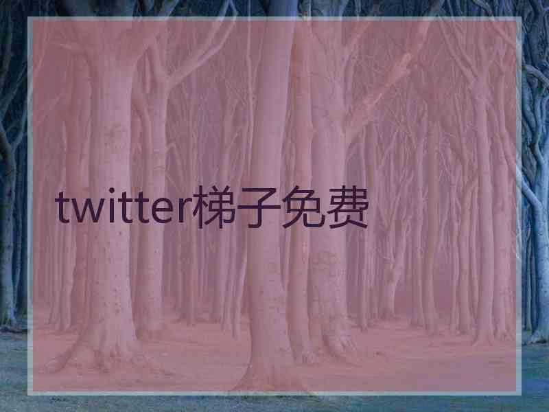 twitter梯子免费