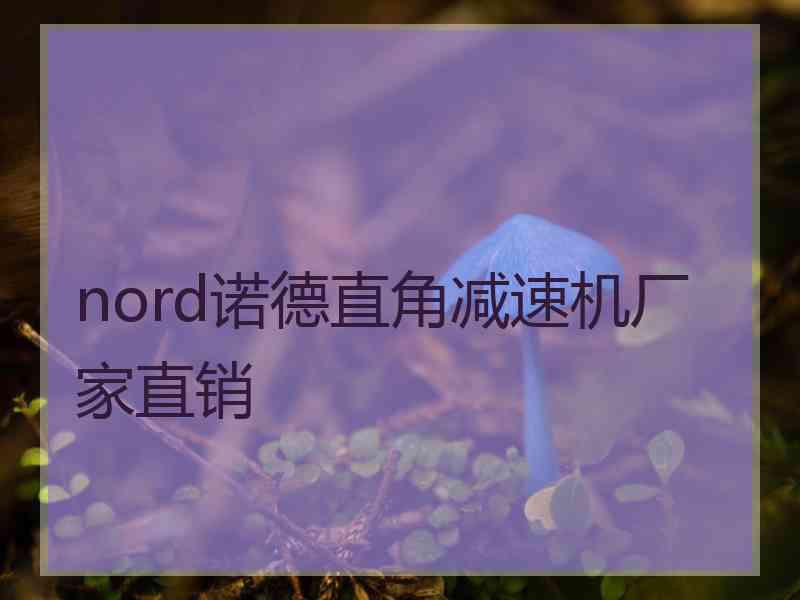 nord诺德直角减速机厂家直销