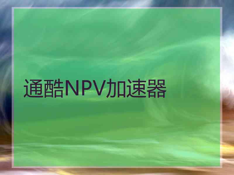 通酷NPV加速器