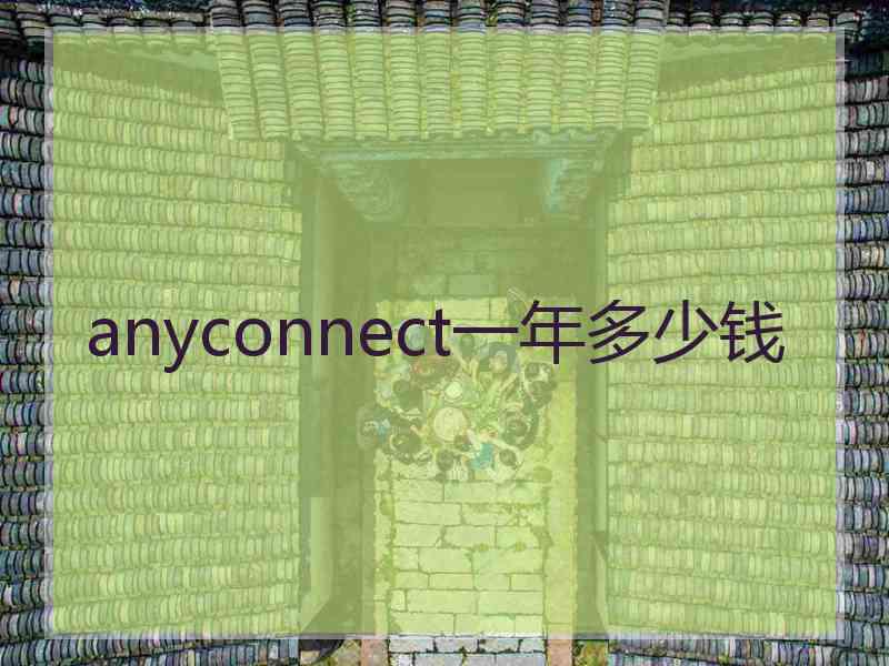 anyconnect一年多少钱