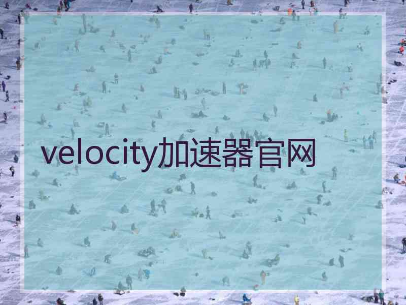 velocity加速器官网