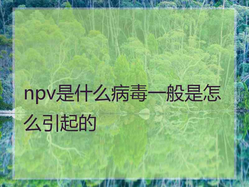 npv是什么病毒一般是怎么引起的