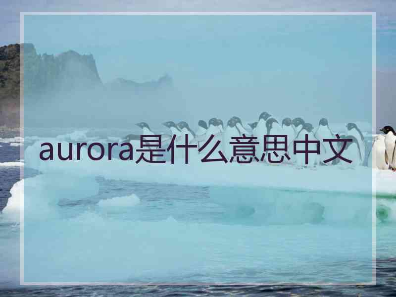 aurora是什么意思中文