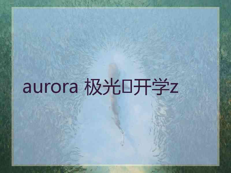 aurora 极光✨开学z