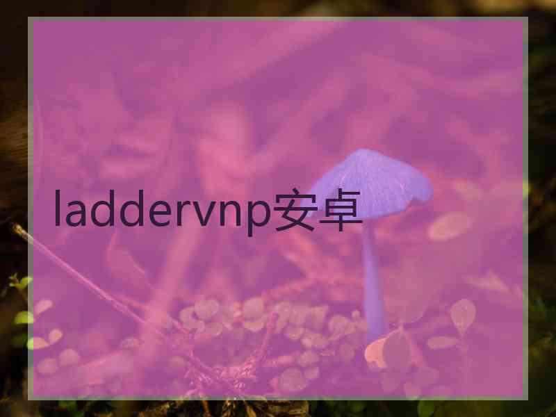 laddervnp安卓