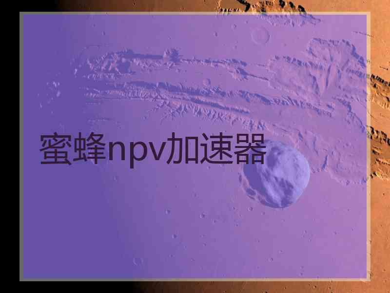 蜜蜂npv加速器