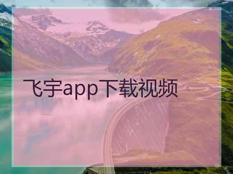 飞宇app下载视频