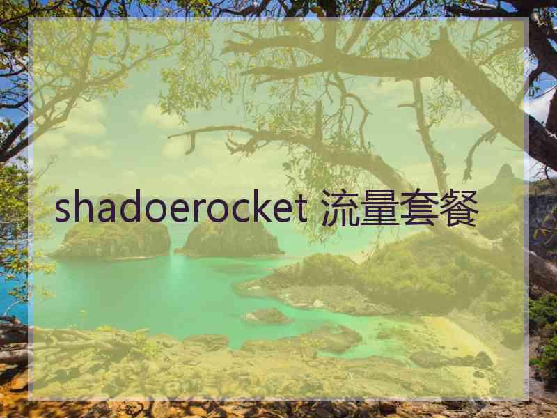 shadoerocket 流量套餐