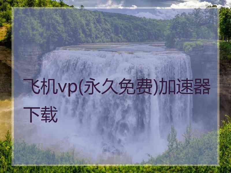 飞机vp(永久免费)加速器下载