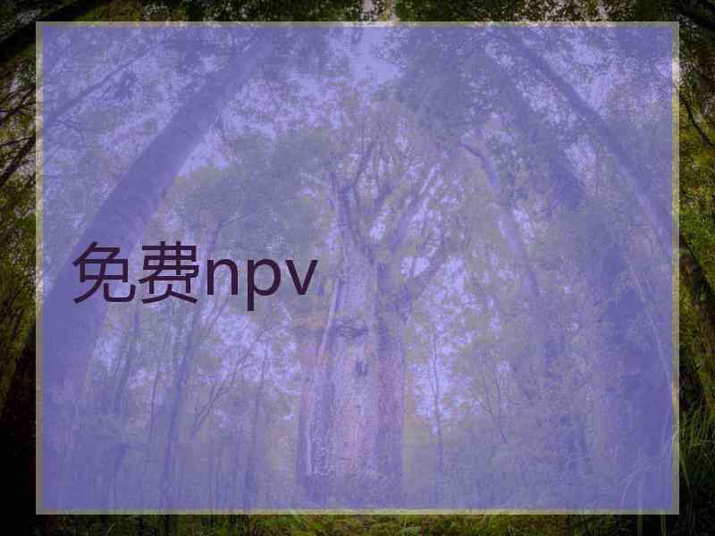 免费npv