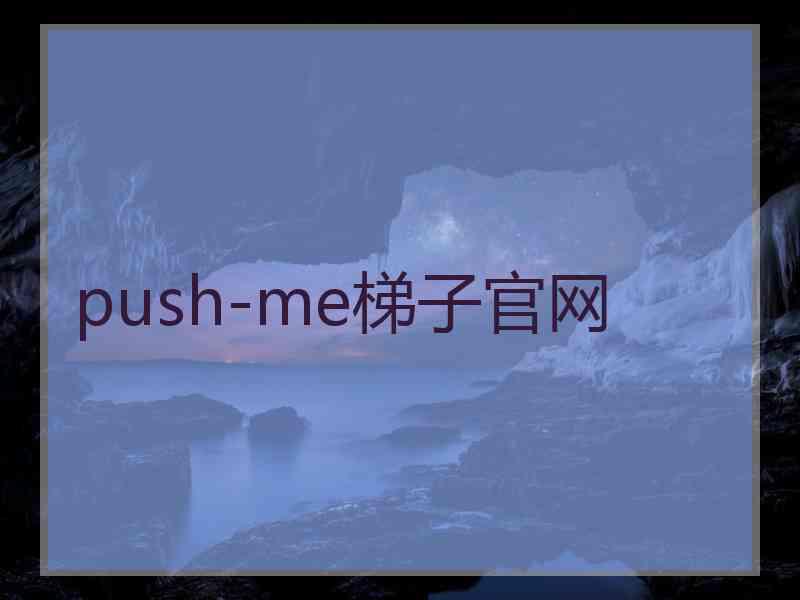 push-me梯子官网