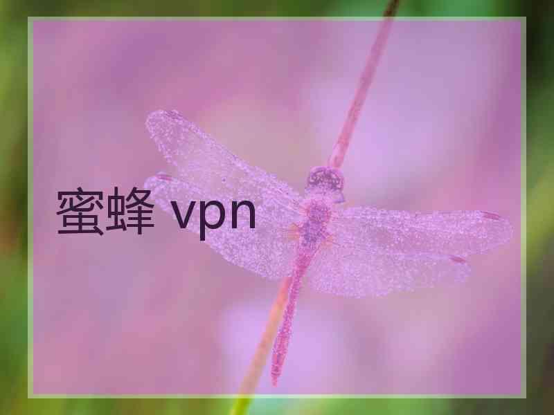 蜜蜂 vpn