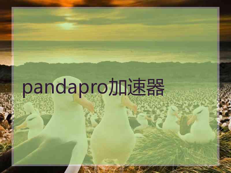 pandapro加速器