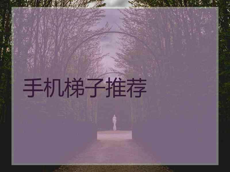 手机梯子推荐