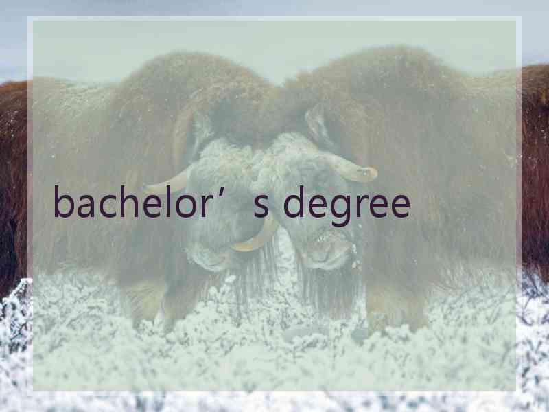 bachelor’s degree