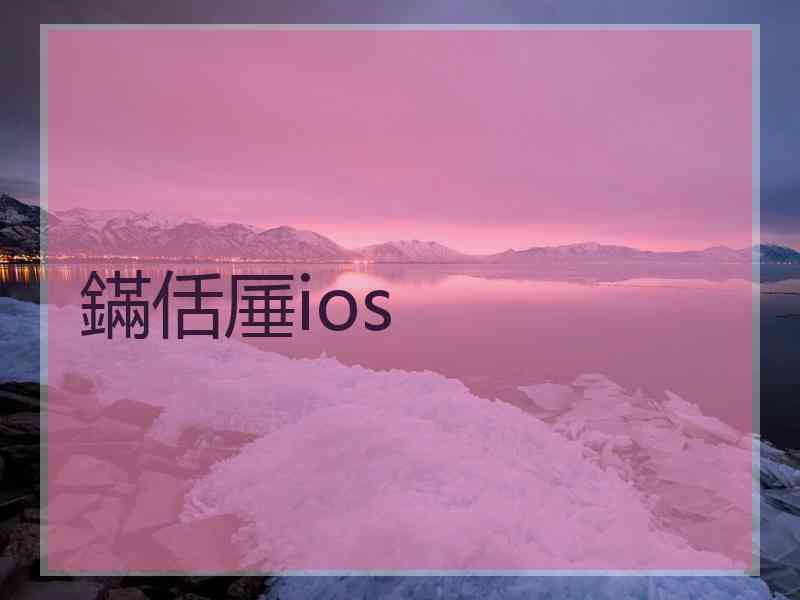 鏋佸厜ios