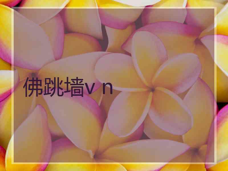 佛跳墙v n