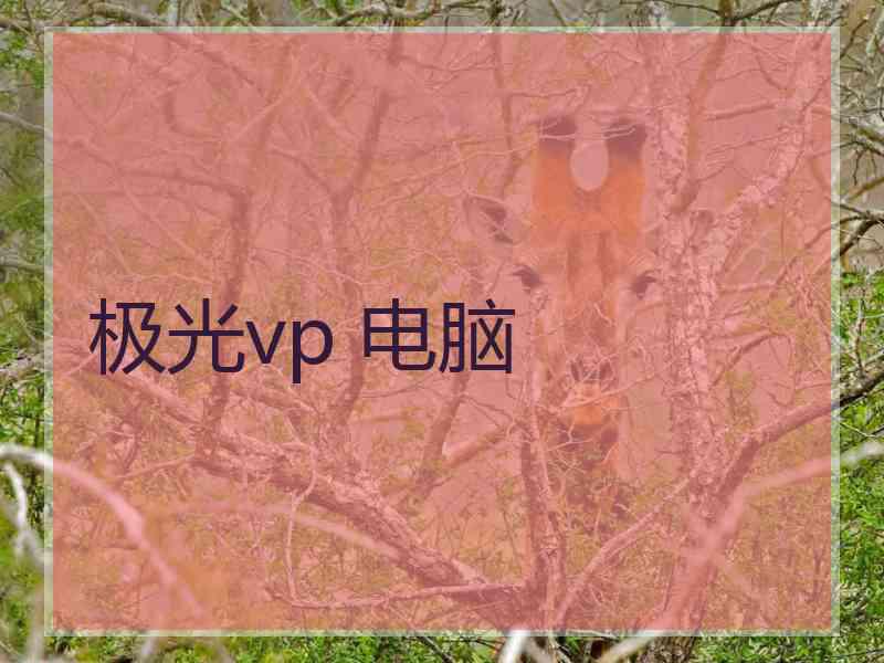 极光vp 电脑