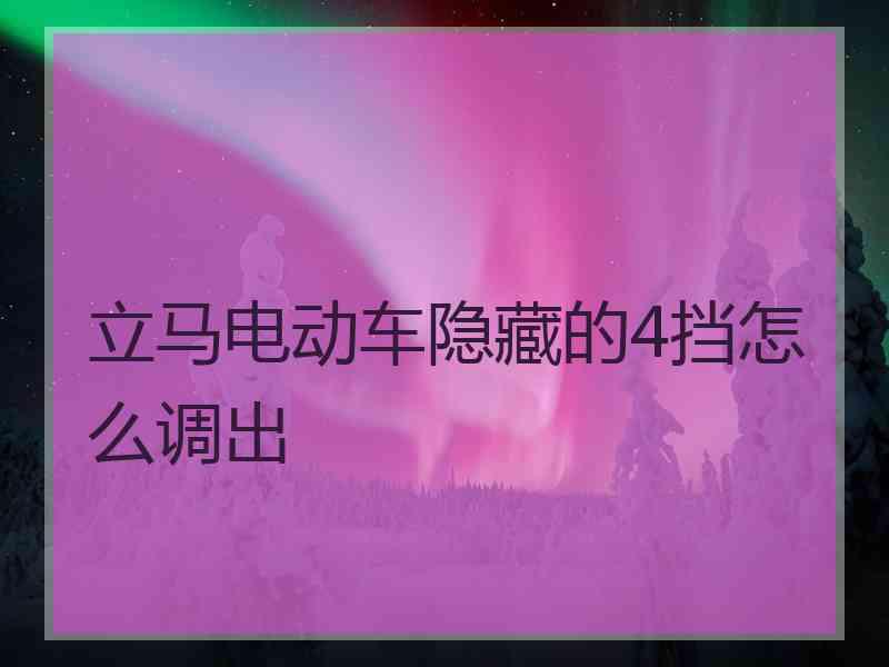 立马电动车隐藏的4挡怎么调出