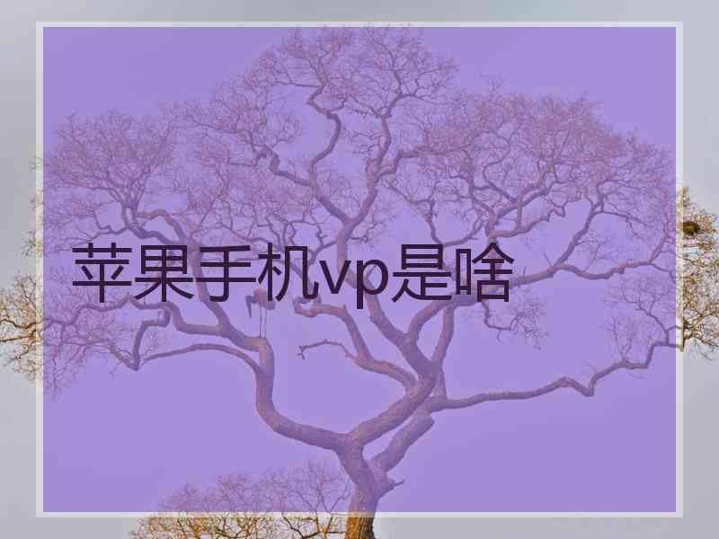 苹果手机vp是啥