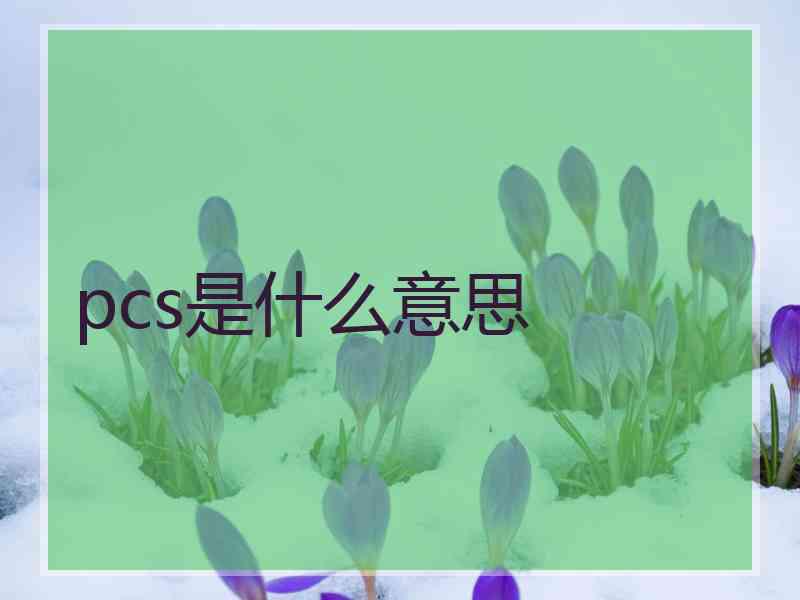 pcs是什么意思