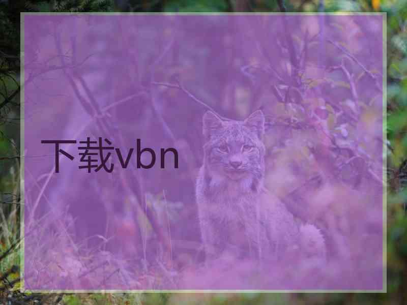 下载vbn