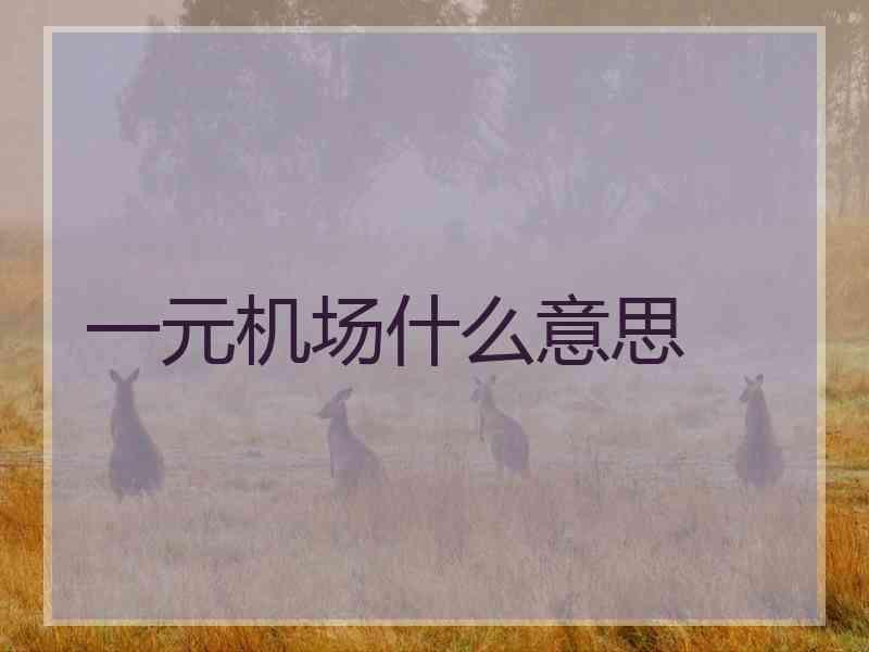 一元机场什么意思