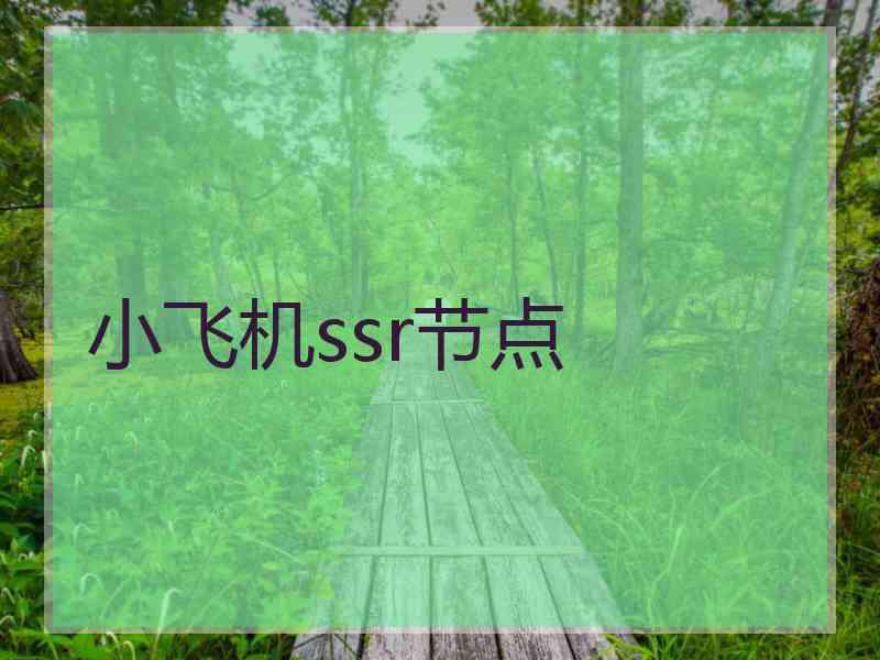 小飞机ssr节点