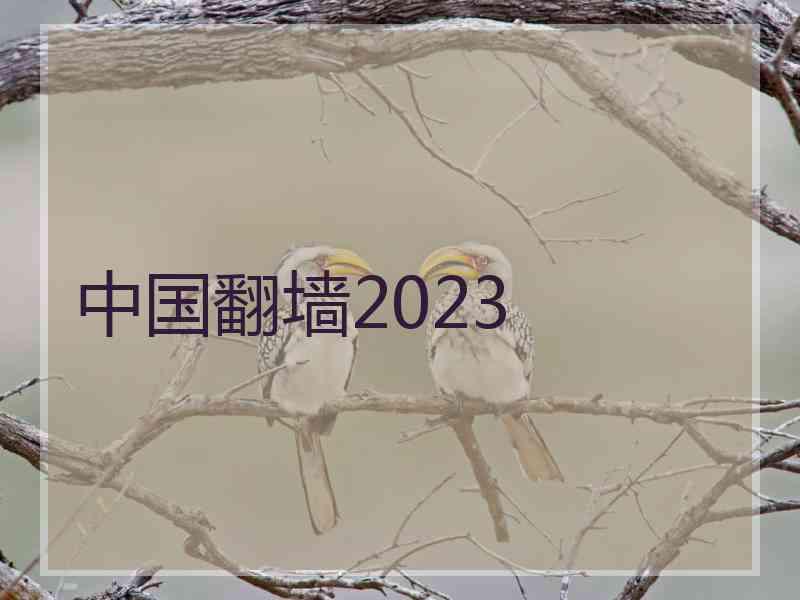 中国翻墙2023