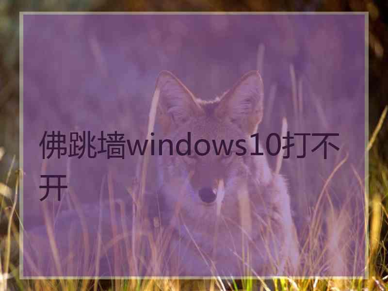 佛跳墙windows10打不开