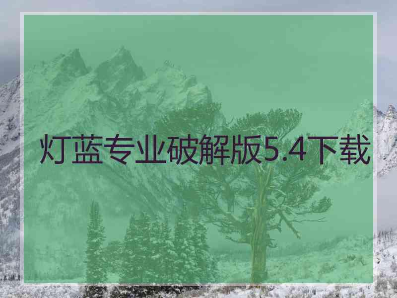 灯蓝专业破解版5.4下载