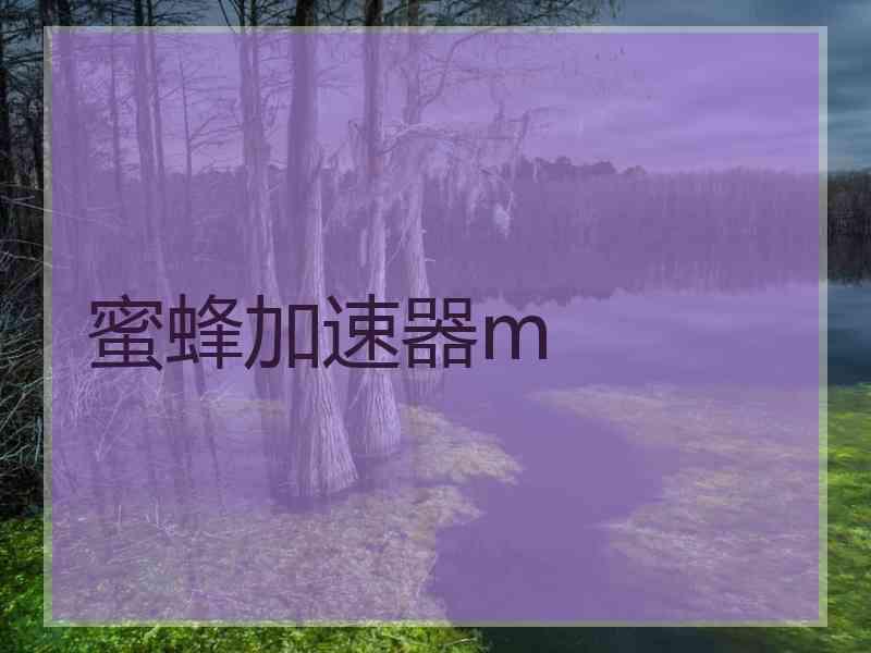 蜜蜂加速器m