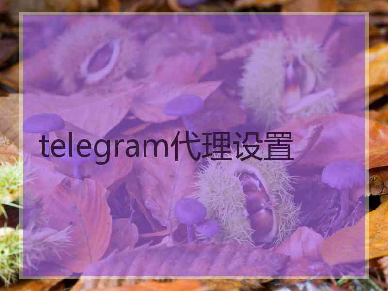 telegram代理设置