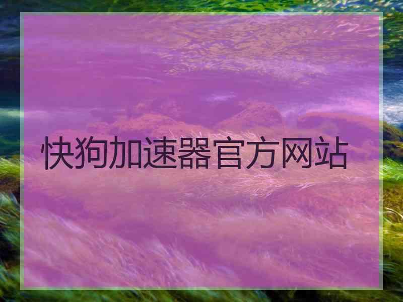 快狗加速器官方网站