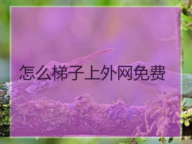 怎么梯子上外网免费