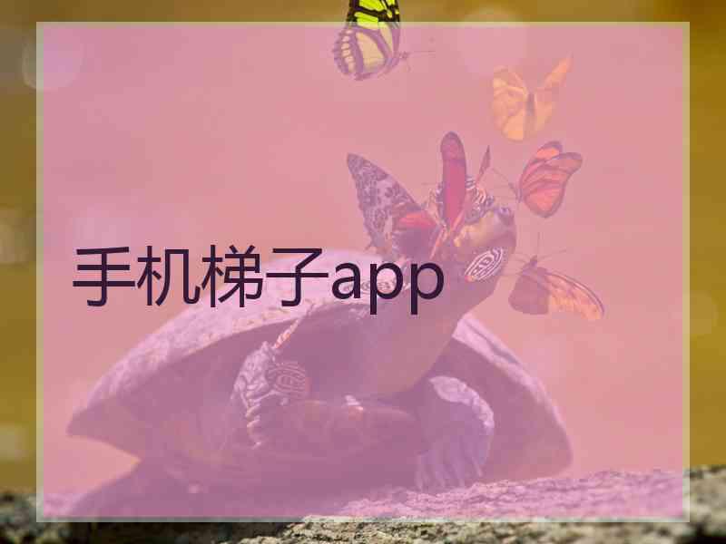 手机梯子app