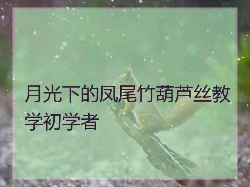 月光下的凤尾竹葫芦丝教学初学者