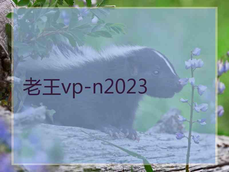 老王vp-n2023