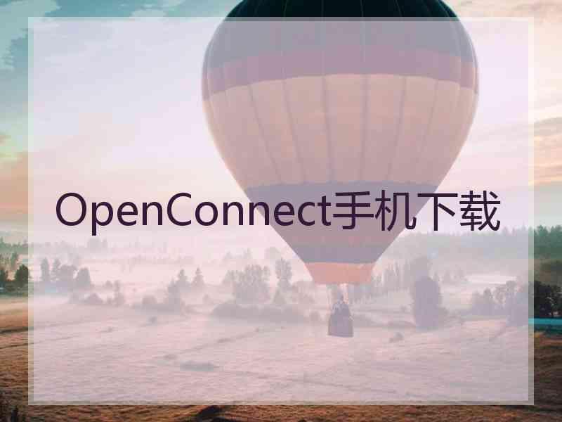 OpenConnect手机下载