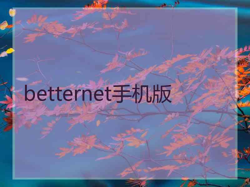 betternet手机版