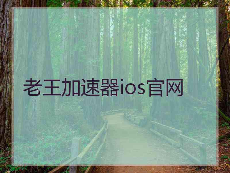 老王加速器ios官网