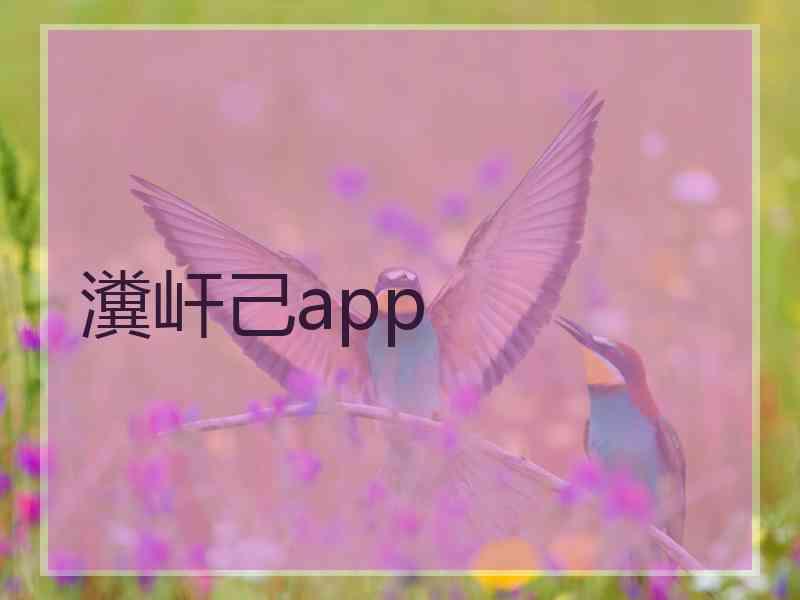 瀵屽己app