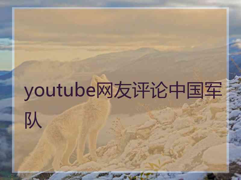 youtube网友评论中国军队