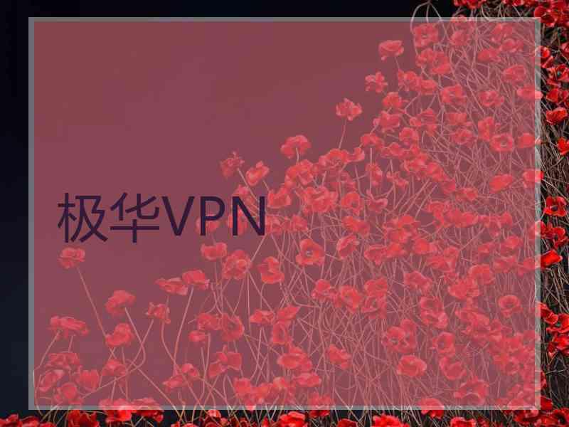 极华VPN