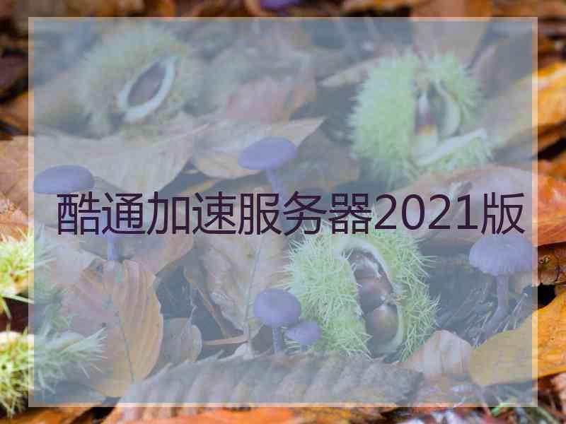 酷通加速服务器2021版