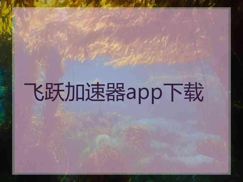 飞跃加速器app下载