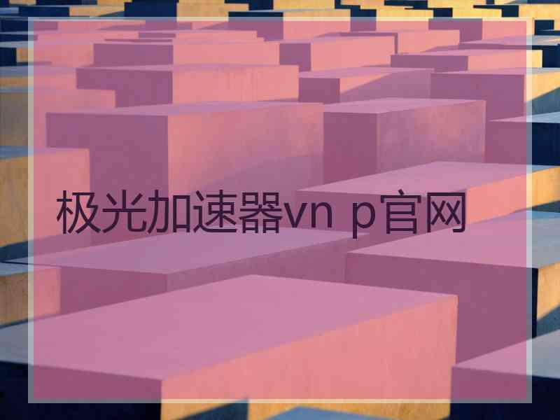 极光加速器vn p官网