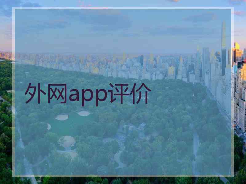 外网app评价